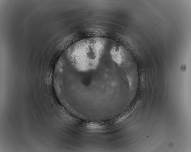 X0000097920177200804041532