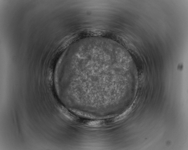 X0000097920178200804041532