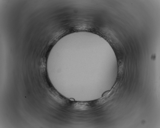 X0000097920179200804041532