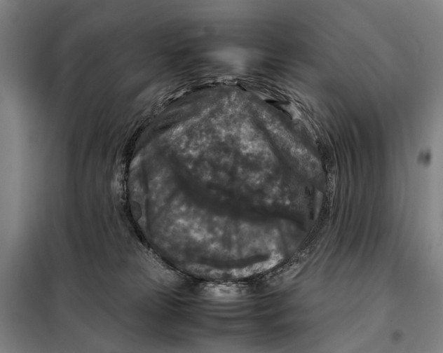 X0000097920181200804041532