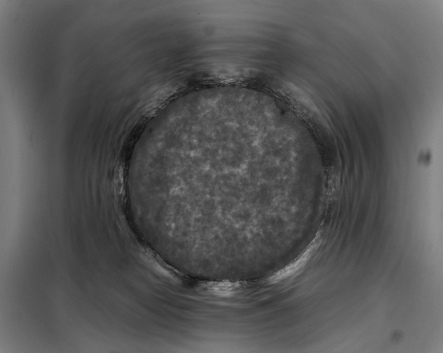 X0000097920182200804041532