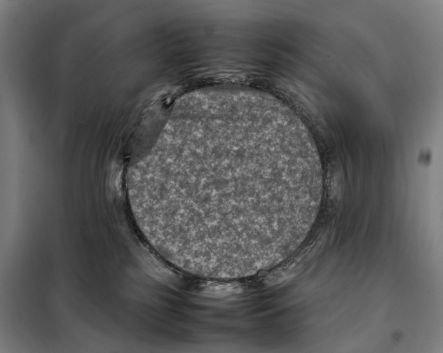 X0000097920185200804041532