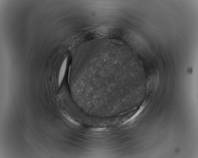 X0000097920186200804041532