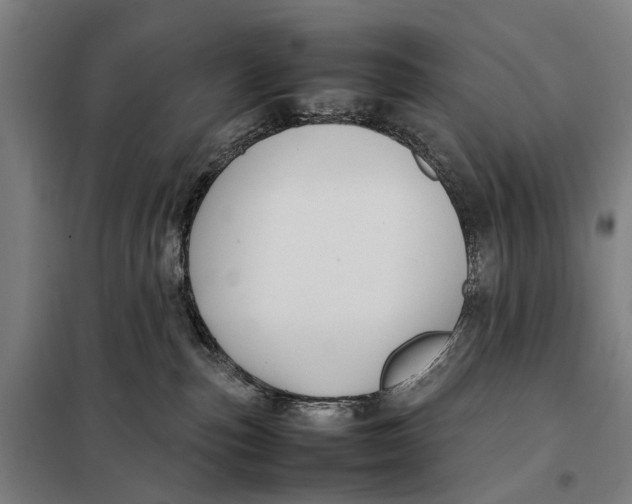 X0000097920187200804041532