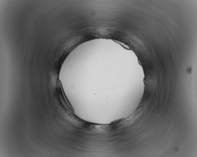 X0000097920188200804041532