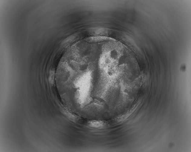 X0000097920189200804041532