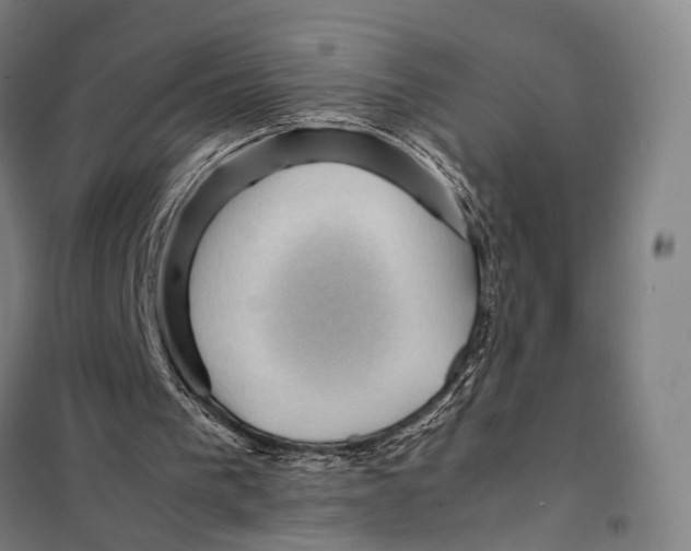 X0000097920193200804041532