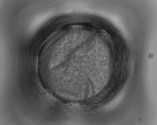 X0000097920194200804041532