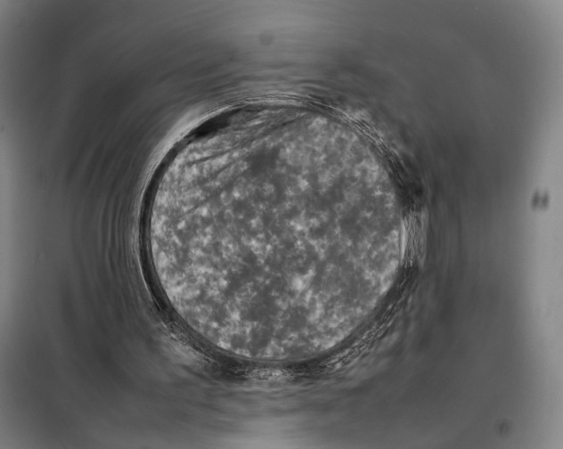 X0000097920195200804041532