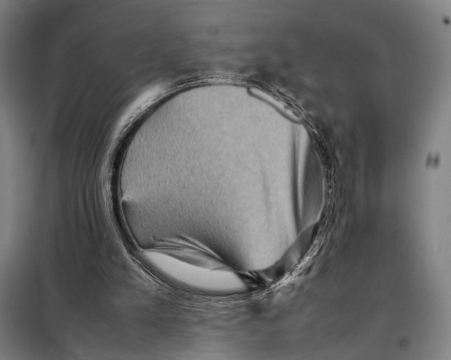 X0000097920197200804041531