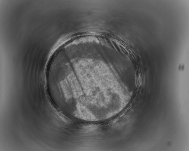 X0000097920198200804041531