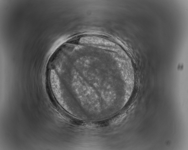 X0000097920199200804041531