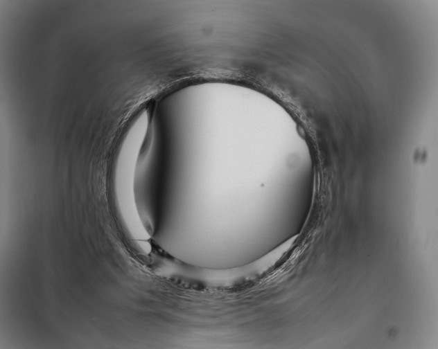 X0000097920201200804041531