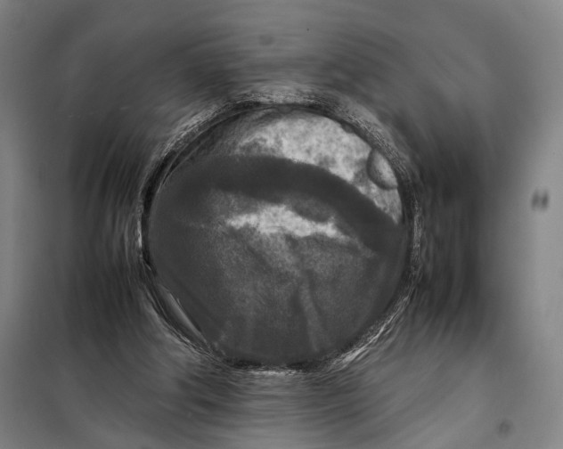 X0000097920202200804041531