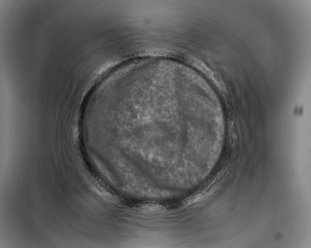 X0000097920203200804041531