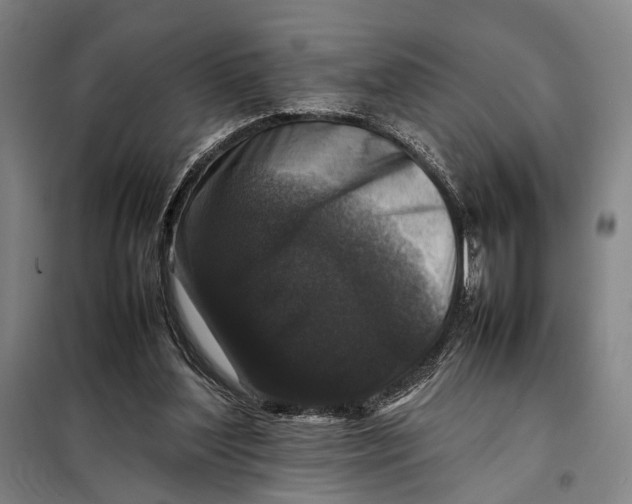 X0000097920204200804041531