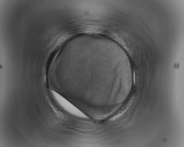 X0000097920205200804041531