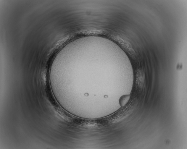 X0000097920206200804041531