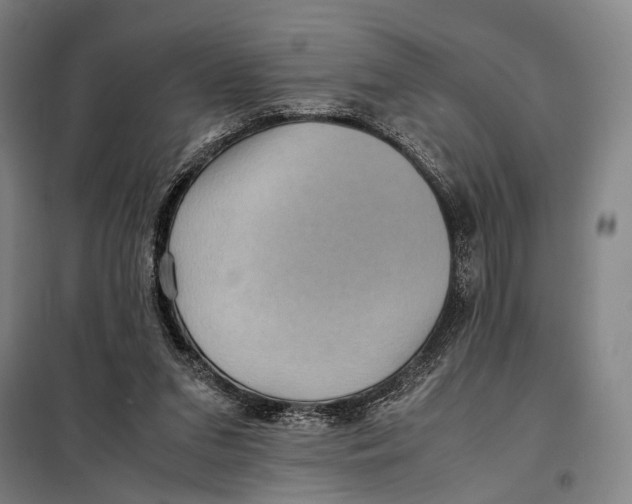 X0000097920207200804041531