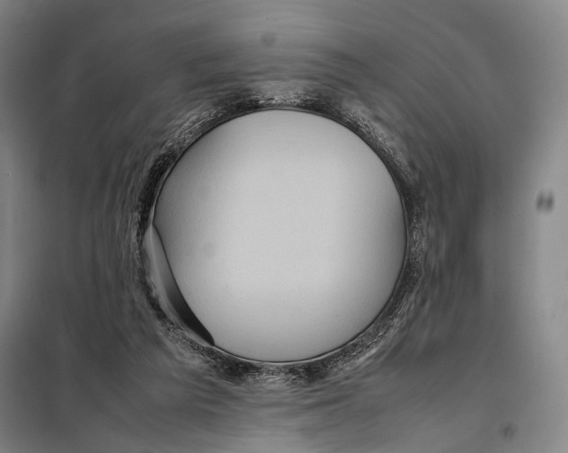 X0000097920209200804041531