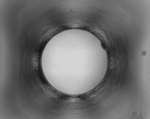 X0000097920210200804041531