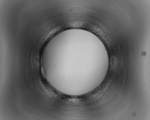 X0000097920212200804041531