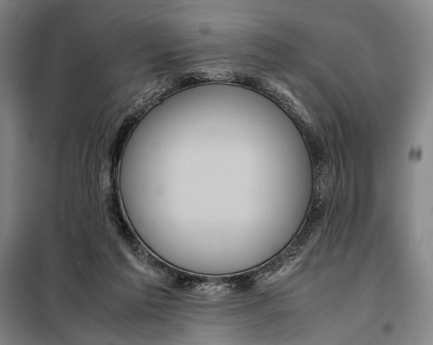 X0000097920213200804041531