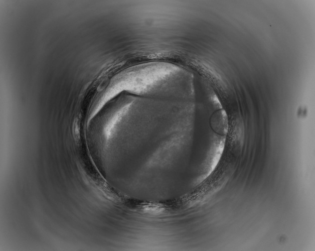 X0000097920214200804041531