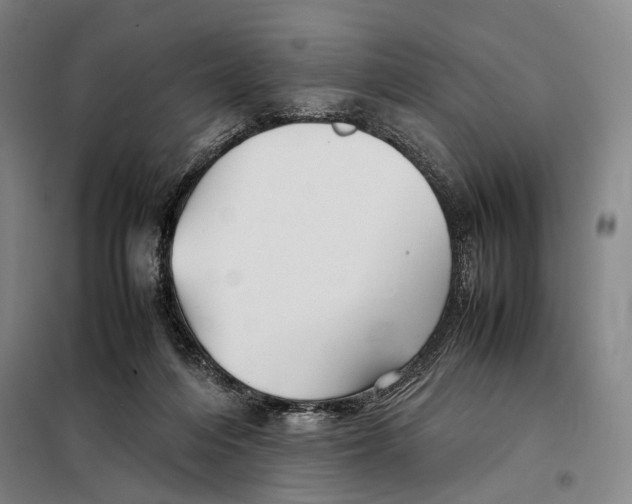 X0000097920216200804041531