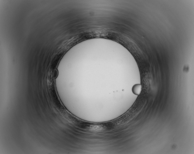 X0000097920218200804041531