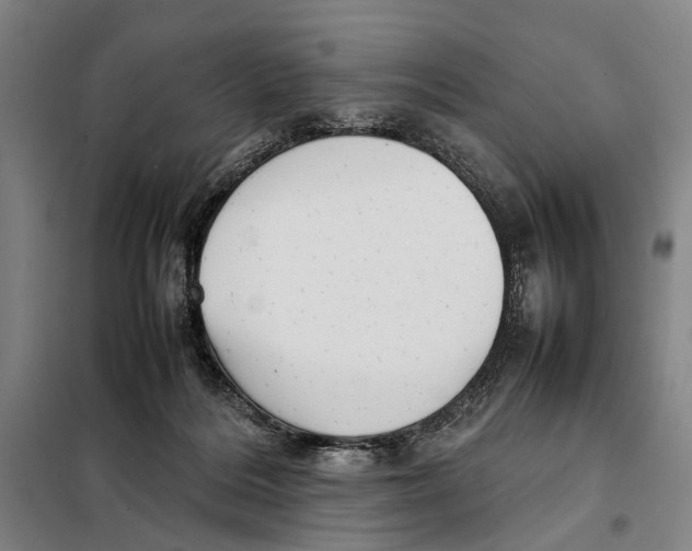 X0000097920220200804041531