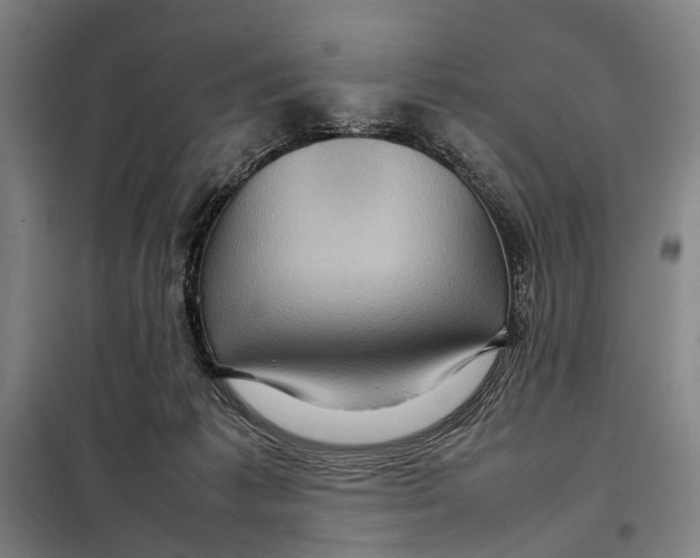 X0000097920221200804041531