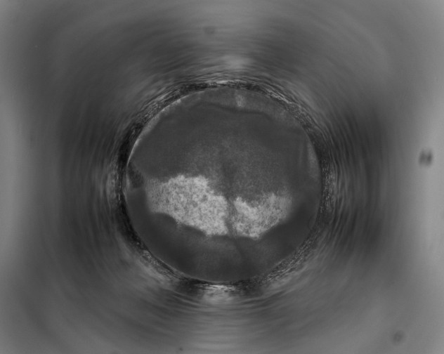 X0000097920222200804041531