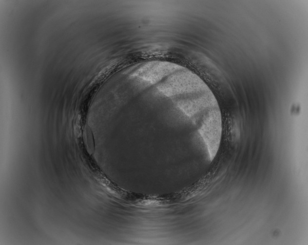 X0000097920224200804041531