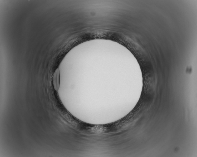 X0000097920225200804041531