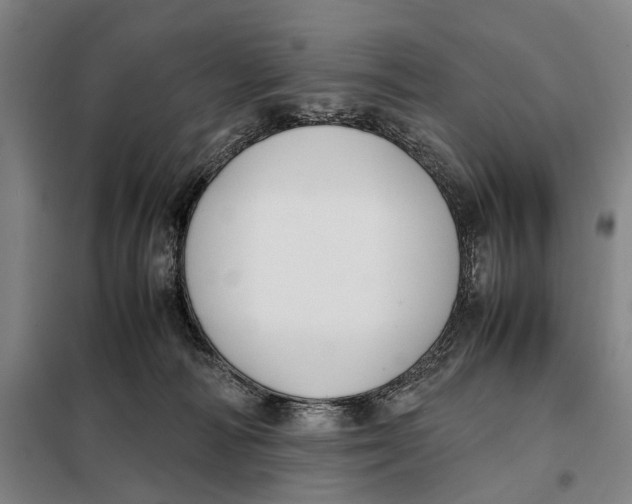 X0000097920226200804041531