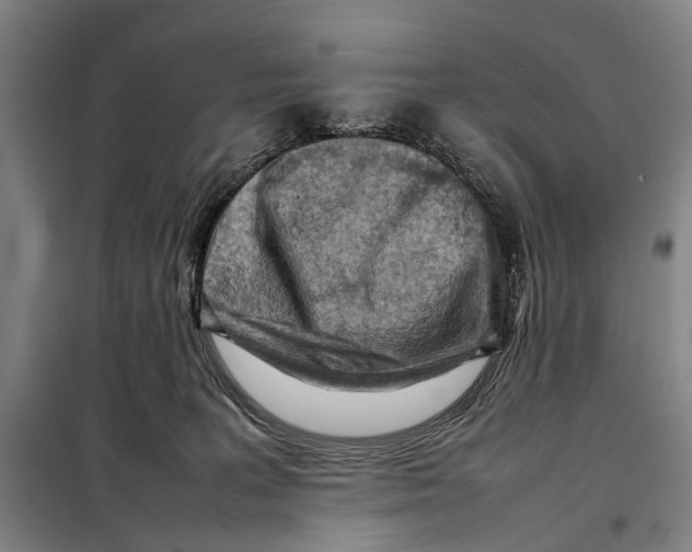 X0000097920227200804041531