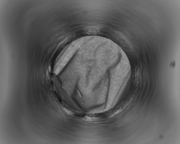 X0000097920228200804041531