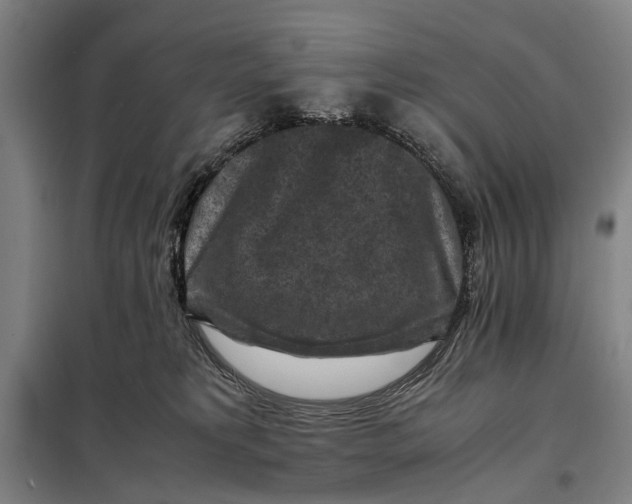 X0000097920229200804041531