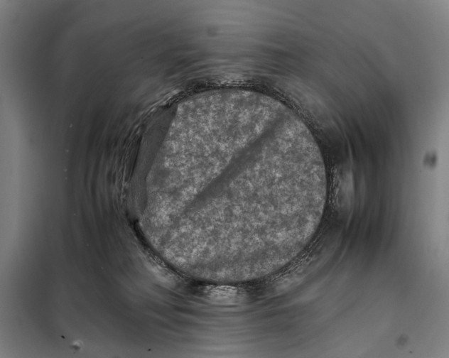 X0000097920230200804041531