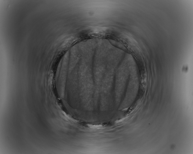 X0000097920231200804041531