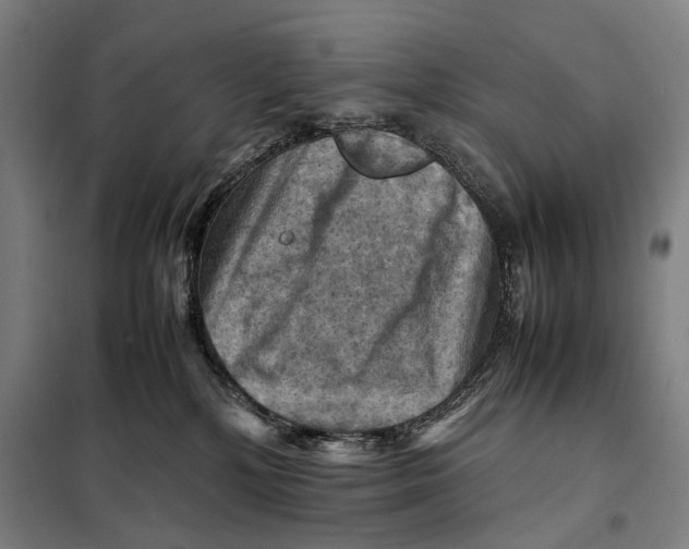 X0000097920232200804041531