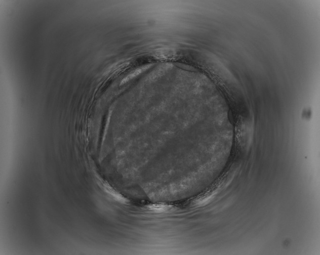 X0000097920233200804041531