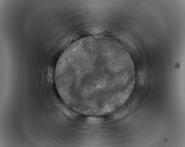 X0000097920234200804041531