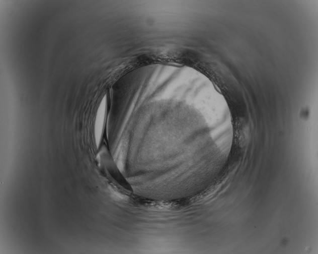 X0000097920235200804041531