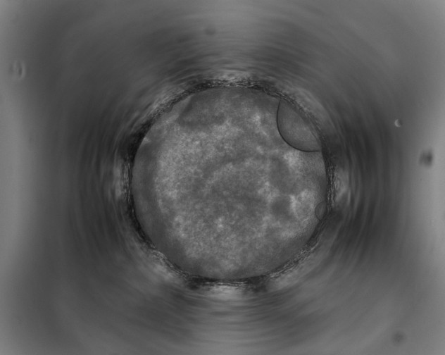 X0000097920236200804041531