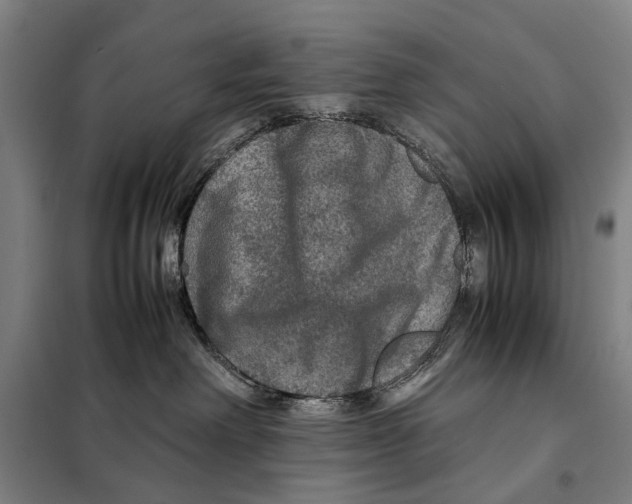 X0000097920238200804041531