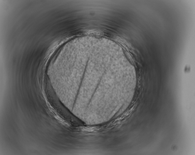 X0000097920241200804041530