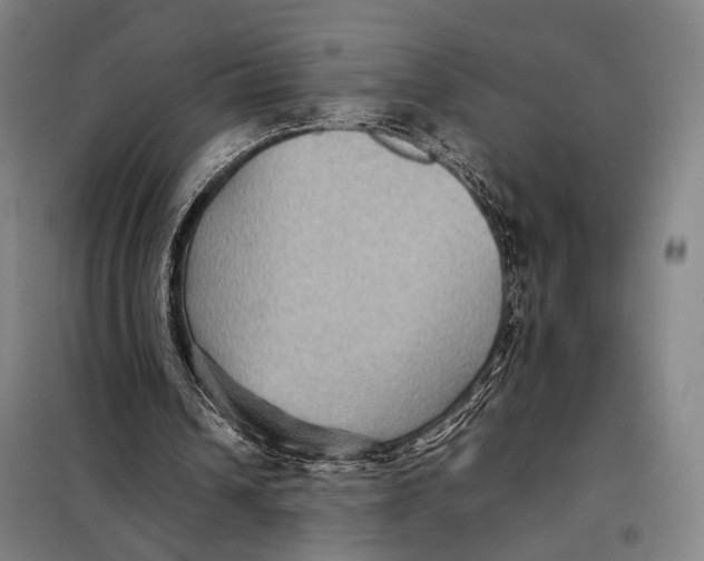 X0000097920242200804041530