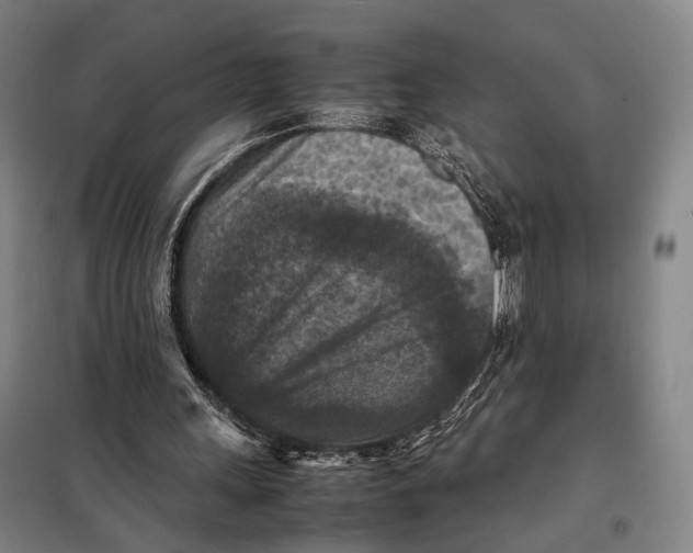 X0000097920243200804041530